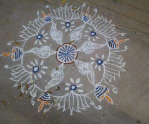 my kolam