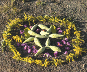 Rangoli: Ganesh