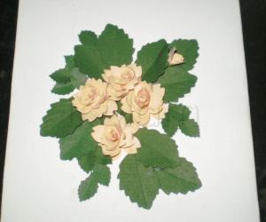 Rose card