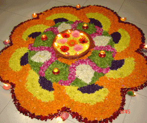 Rangoli - Crossandra