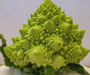 Rangoli: Romanesco