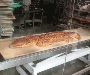 Crocodile bread