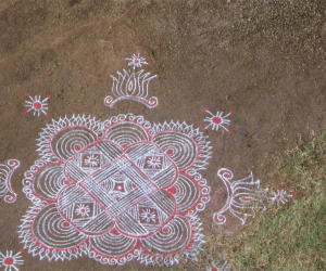 Surya Pongal Kolam