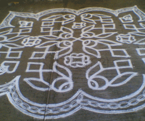 Rangoli: Flyingfish