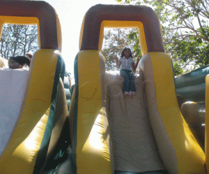 Fun slides at the Pumpkin Patch