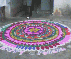 Rangoli: Happy Pongal