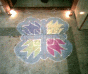 Fish kolam