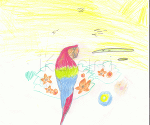 Rangoli: My macaw