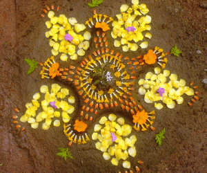 Onam rangoli