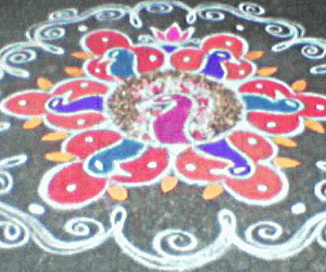 Rangoli: Peacocks Rangoli