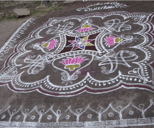 Pongal-lotus