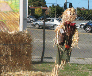 Scarecrow