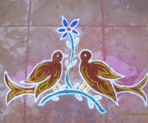 Rangoli: Sparrows