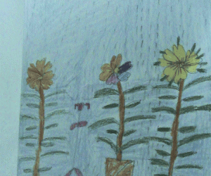 Rain and Flowers