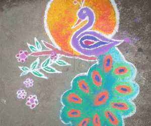 Peacock rangoli