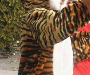 Tiger costume