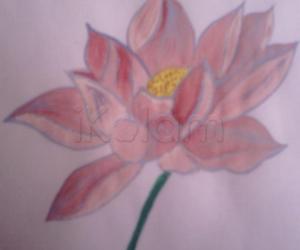 Rangoli: Watercolor Lotus