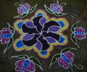 sanghu kolam