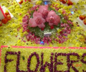 Rangoli: Lotus kolam.