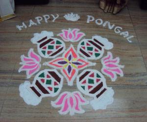 Rangoli: Pongal kolam