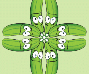 Cool Cucumbers!