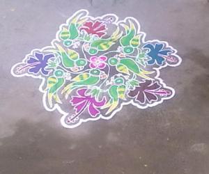 parrots kolam