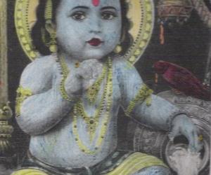 Krishnajayanthi