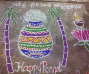 Pongal Kolam