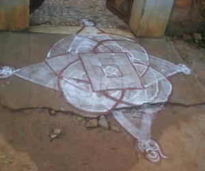 Padi kolam