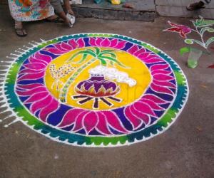 Pongal kolam