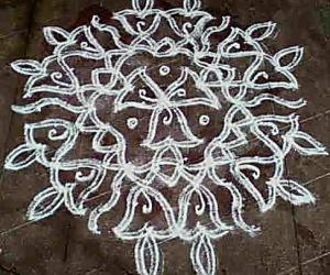 BLUEBELL KOLAM