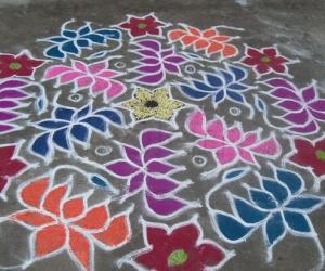 Lotus kolam 