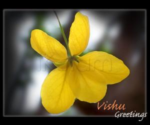 Rangoli: Eniya Puthandu Vazhthukkal.  Happy vishu to all of ikolam members and all people in the world  who visit this site