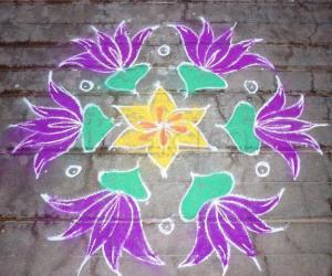 Rangoli: Lily Flowers