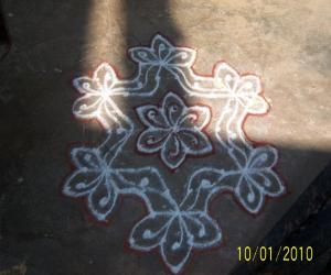 Rangoli: Uma's kolam