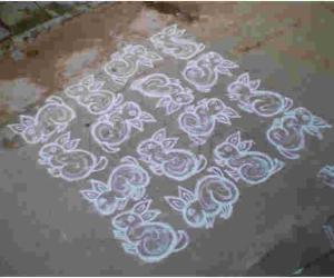 Rabbit kolam