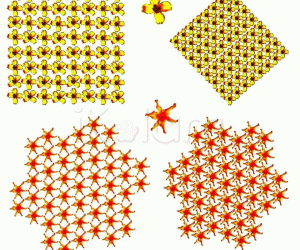 Patterns with flowers of four and six petals