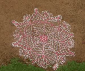 Spiderweb Kolam