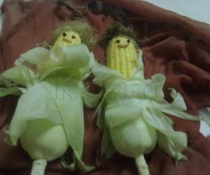 Corn Beauties(models)