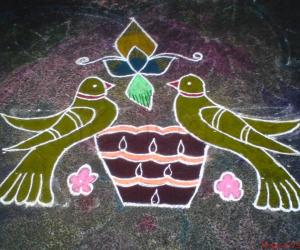 Parrot Kolam