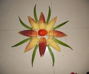 veg kolam 2