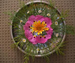 Rangoli: flower arrangement for diwali