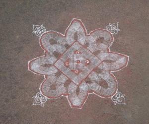 Padi Kolam