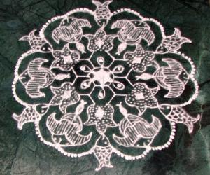 Fishy kolam