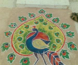 Diwali Rangoli - colorful peacock