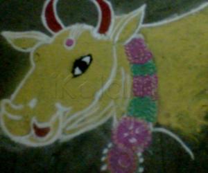 cow in pongal kolam