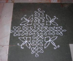 butterfly kolam