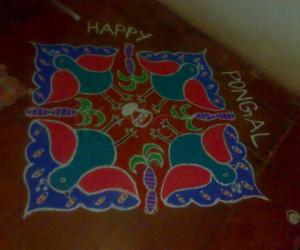 Peacock rangoli for pongal