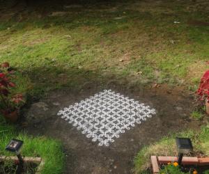 Rangoli: dotted kolam