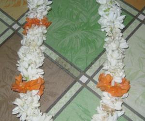 Rangoli: Jasmine Flower from our yard